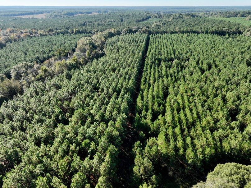 dji_fly_20251031_101030_994_1761919964567_photo