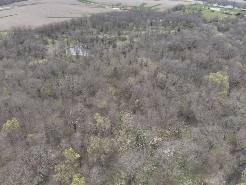 DJI_20250417152957_0006_V