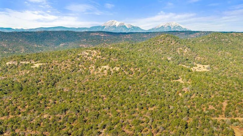 DJI_20251125100145_0057_D