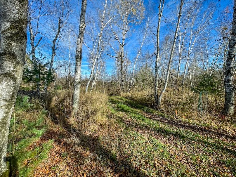 Clark 24.75 Winkel -24