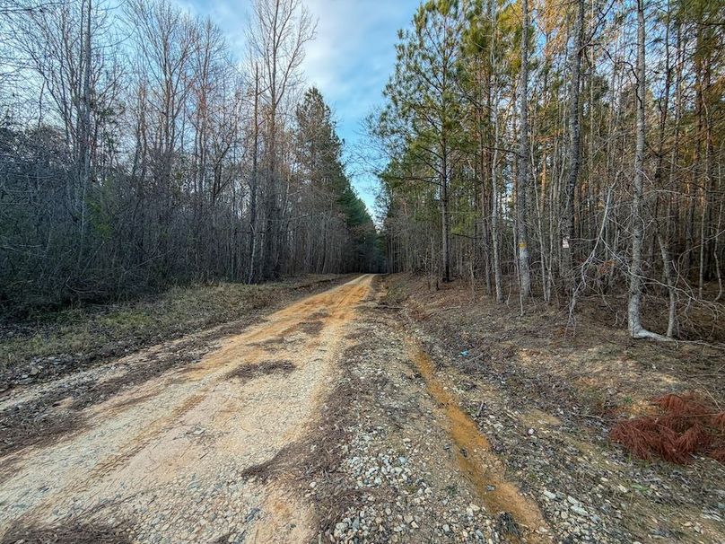 012DE 94 Acres - 1-3