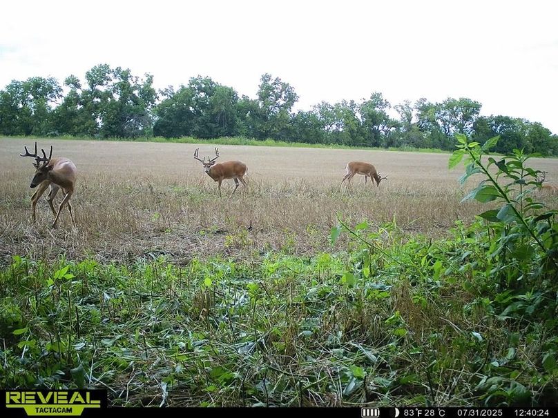 860322064709196-100-2-07312025193811-HD-SYEW0186