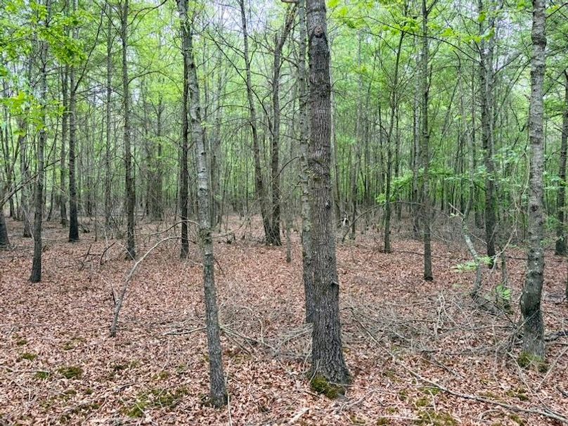 B0E09EDA-C2AF-4DA2-80FD-F7EF808DBBFC_1_105_c