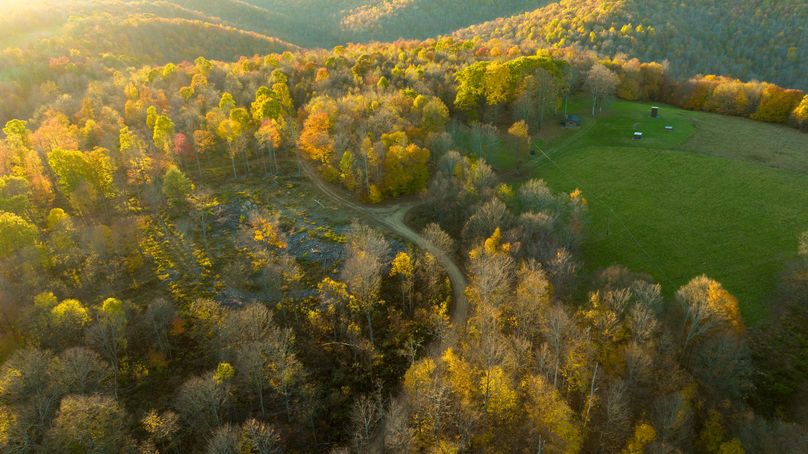 Elk PA 7000 Feature_Pro Photo-163