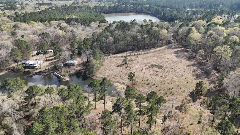 dji_fly_20260305_050506_0092_1772672660722_photo