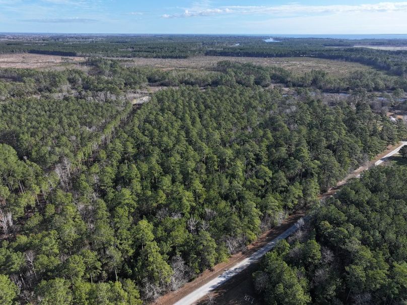 DJI_20260105102837_0277_D