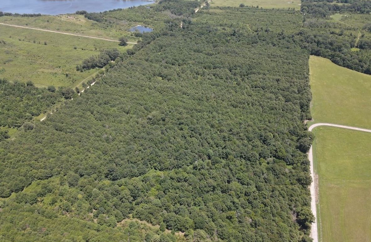 dji_fly_20240730_133534_226_1722364550149_photo