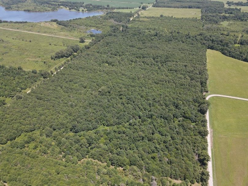 dji_fly_20240730_133534_226_1722364550149_photo