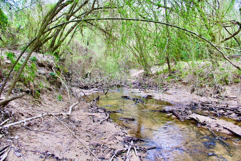 028130D6-3D6A-46D2-8D1D-C6097A256057_1_105_c