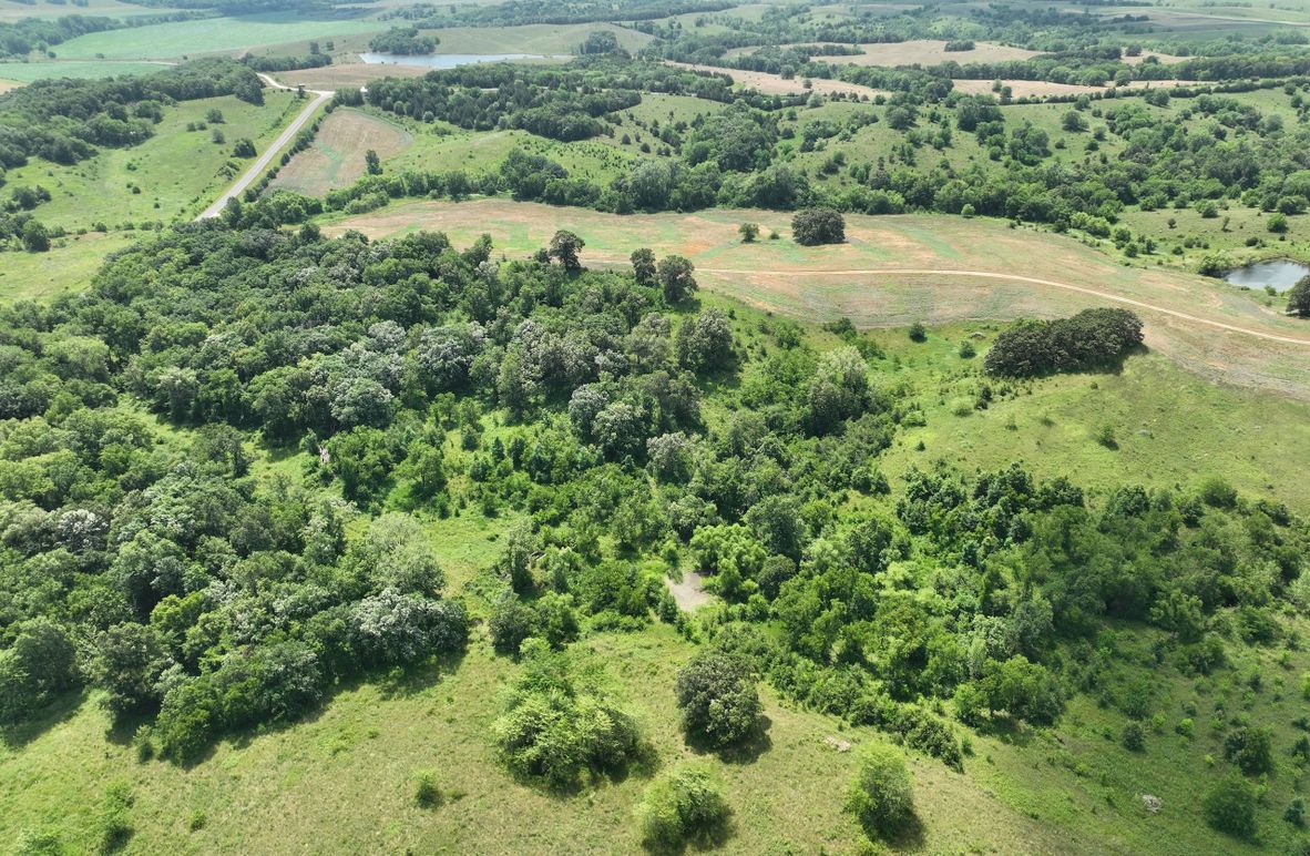 dji_fly_20230625_114322_451_1687717392739_photo