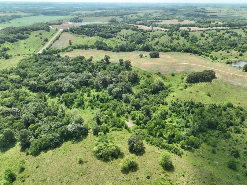 dji_fly_20230625_114322_451_1687717392739_photo