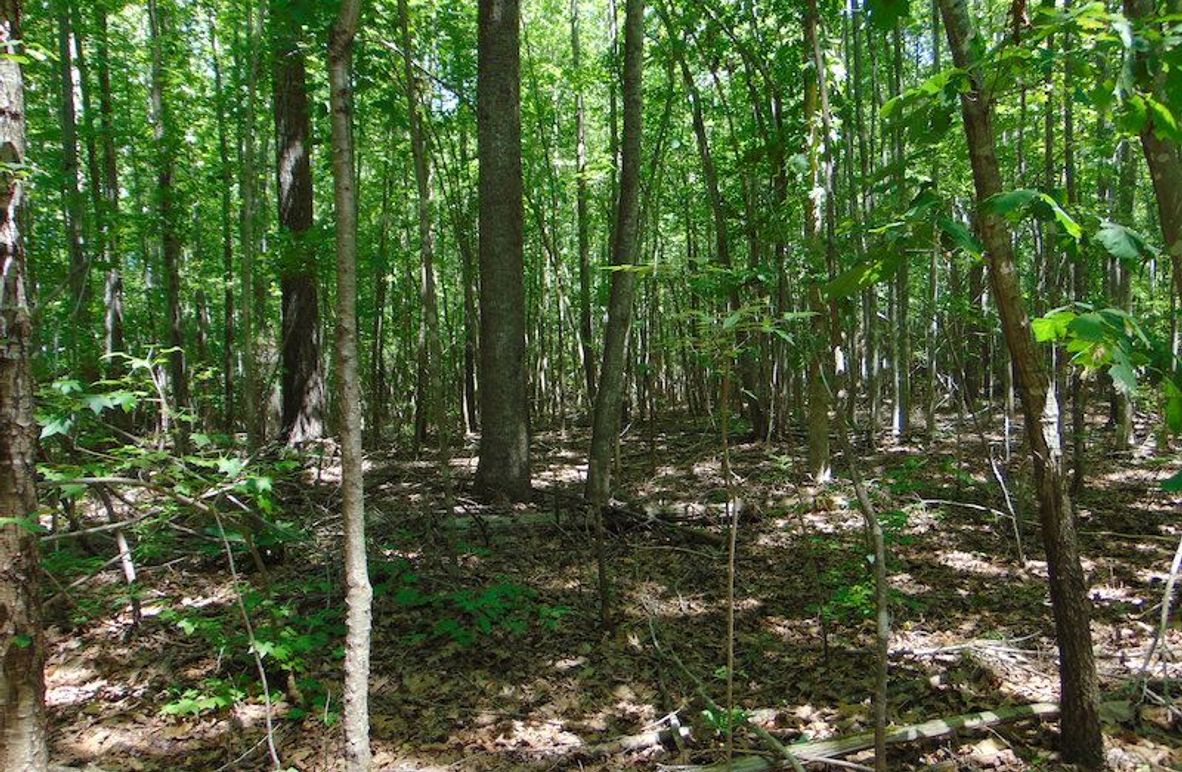 Copy of Copy of DSC00766