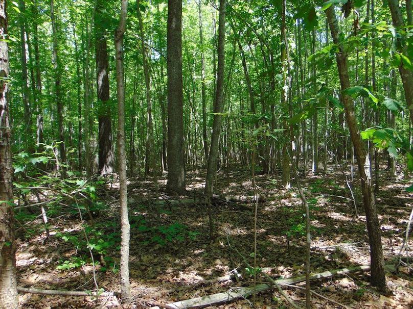 Copy of Copy of DSC00766