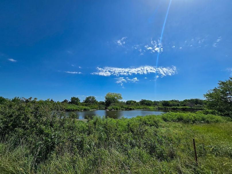 Copy of 20250729_113431