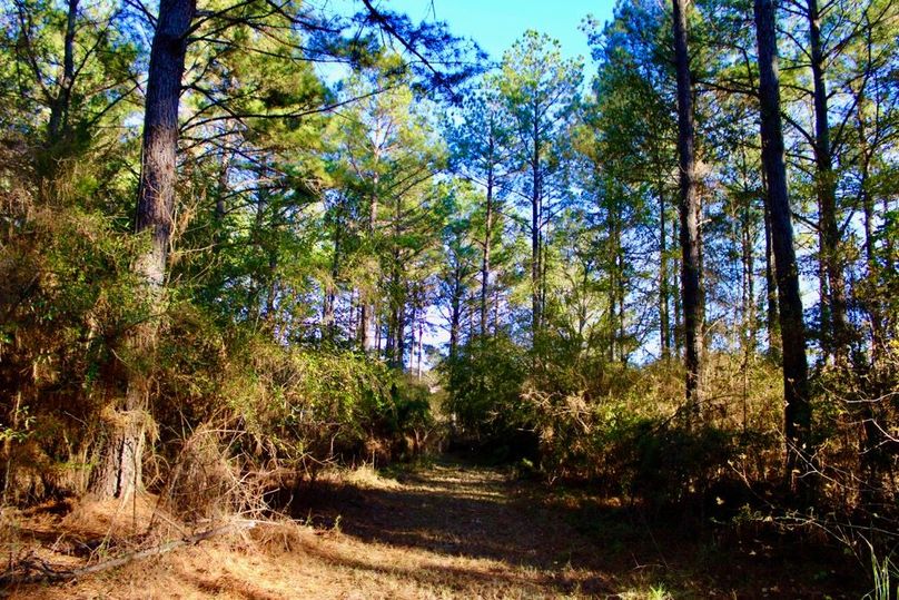 7A559305-1188-42DE-9467-0F111B419F12_1_201_a-2