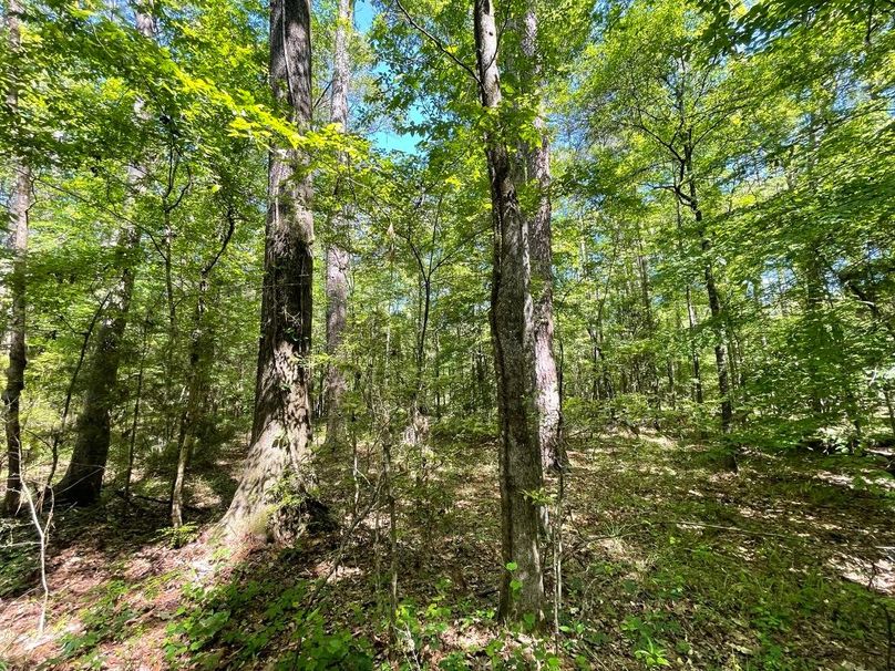 C66E32DC-16CE-41AC-8EEE-33B8C1430C94_1_105_c