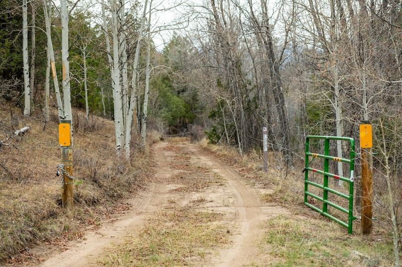 Chaffee CO 66.4 Taylor - 046 National Forest Gate