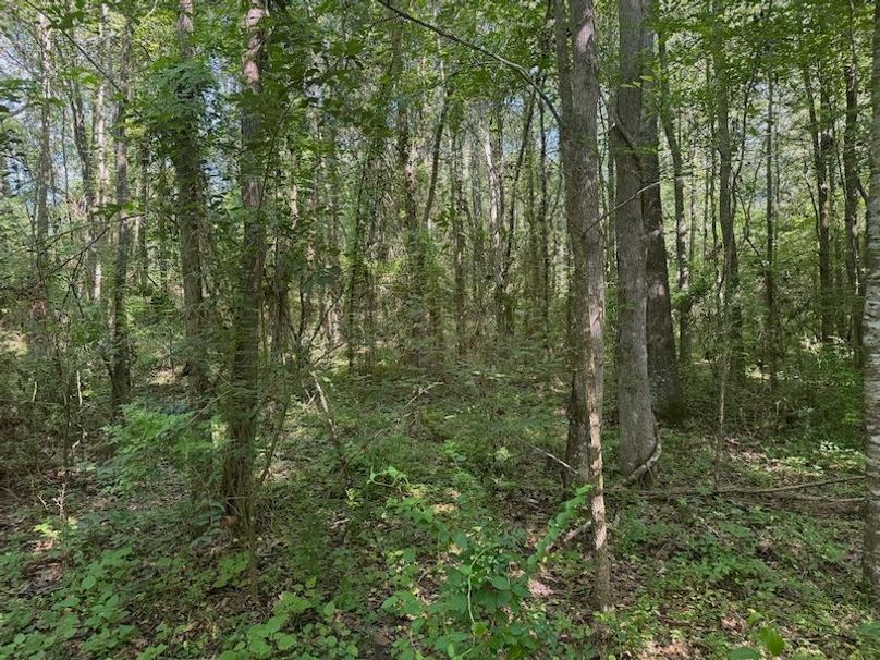 E3AC7FB6-F481-4F56-89D0-F48CD86666B0