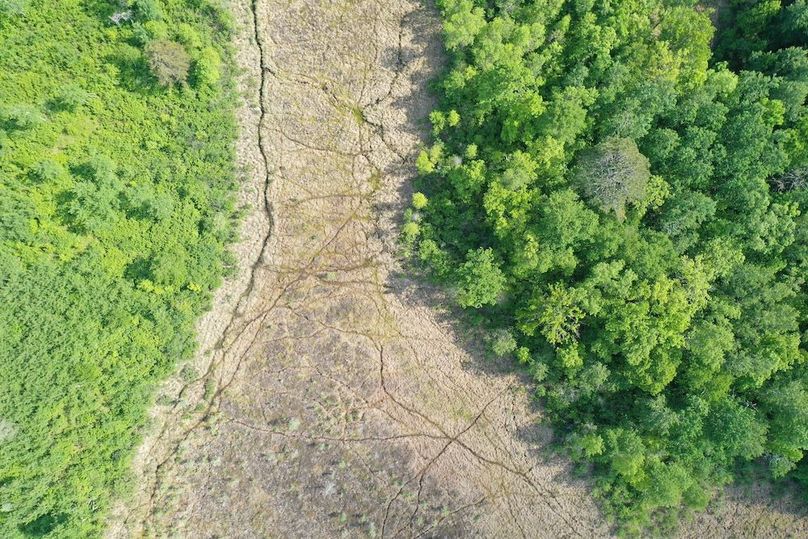 DJI_0359
