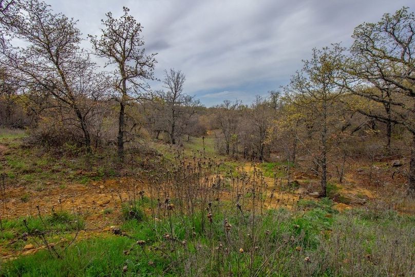 16. Creek Drainage between Ponds