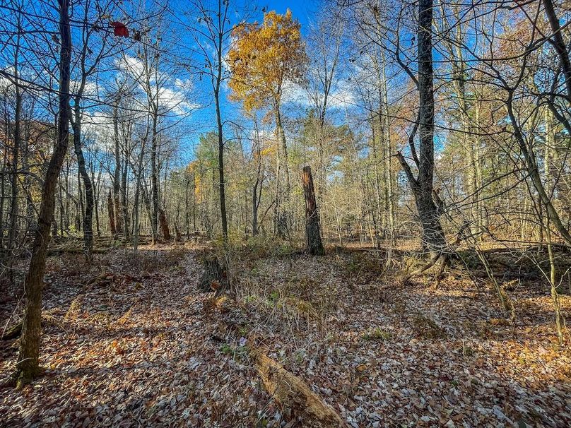 Portage 150.81 JMJK Prop-59