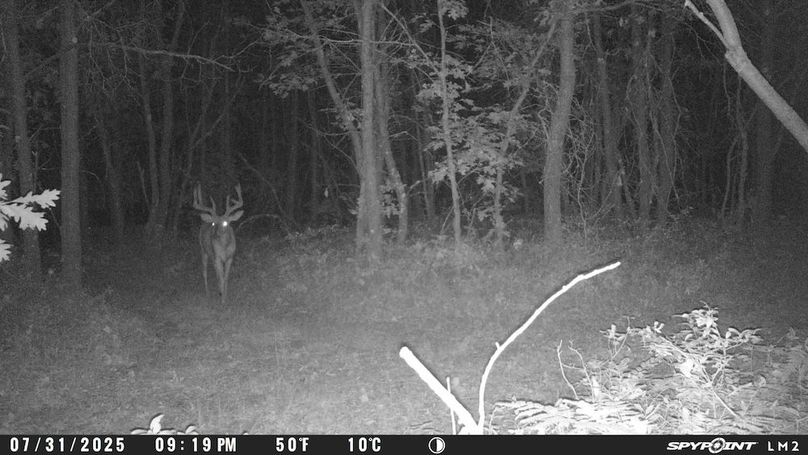 Trailcam13
