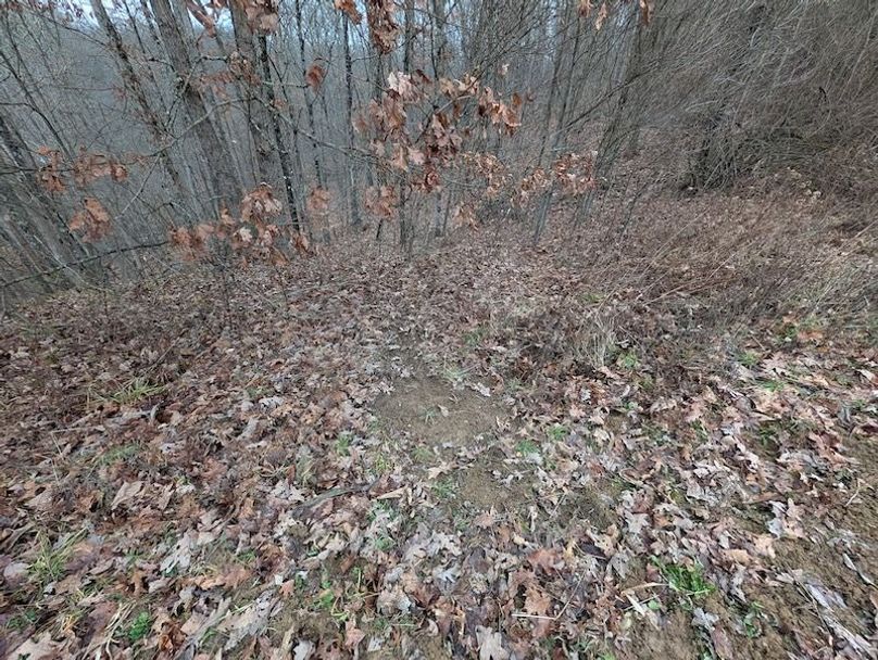 PXL_20260107_204702587.MP