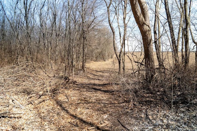 Whiteside IL 49.22_35