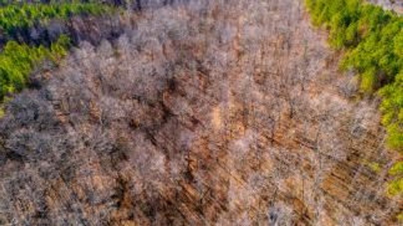 MCKINNON TRACT 29-15