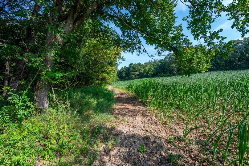 Copy of DSC06196 Large