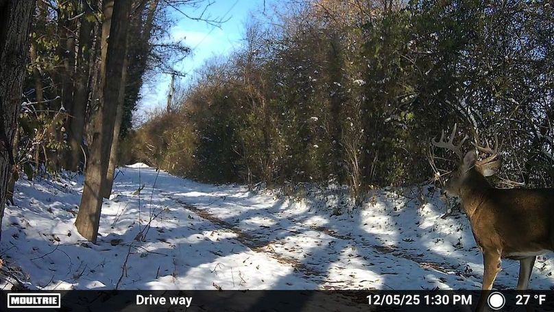 Temp_1541359-20251205183108-100MFCAM_MFDC1961