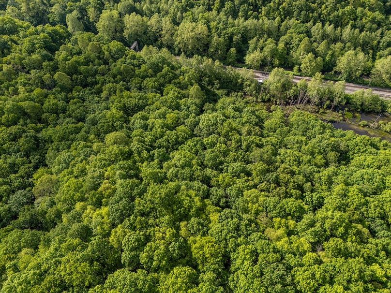 DJI_20250524071206_0371_D