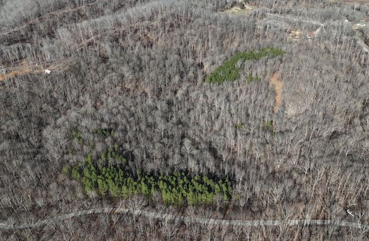 DJI_20260112112938_0018_D