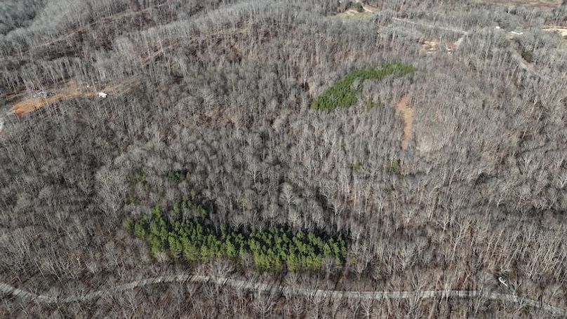 DJI_20260112112938_0018_D