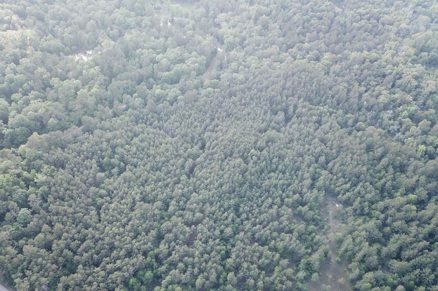 DJI_0636