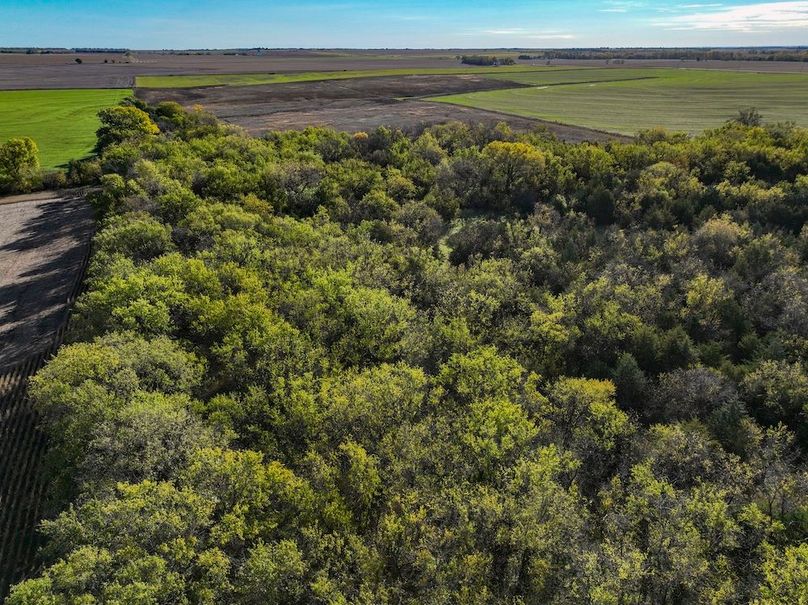 Dickinson Co, 154.5_029