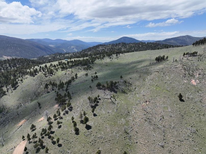 DJI_0341