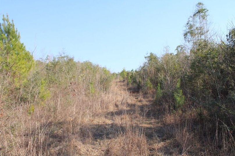 F6986D55-0592-41CB-A8D9-937D79178D88_1_105_c