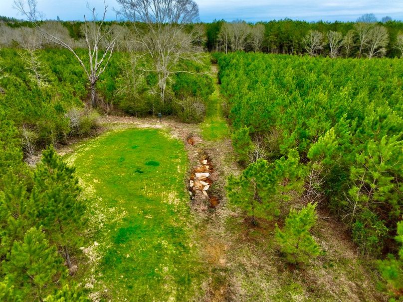 F584A694-F24B-4222-B5D1-9AA9BEC5E3AE_1_105_c