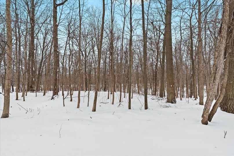 35-6055 Shaftsburg Rd