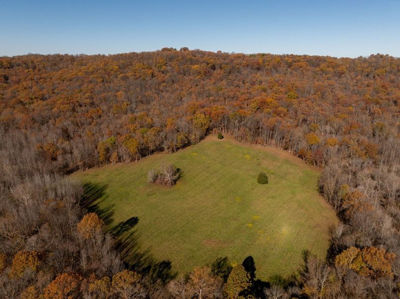 DJI_20241119105937_0270_D