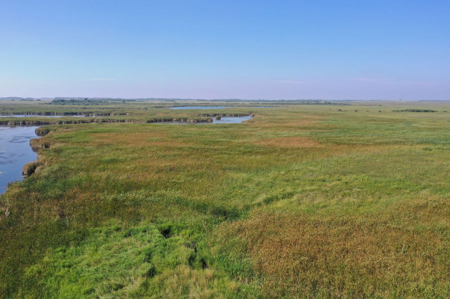 DJI_0264
