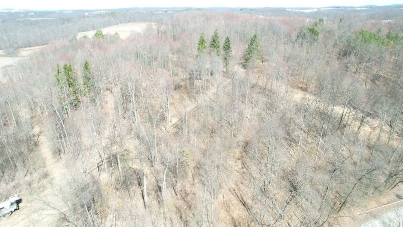 dji_fly_20250327_140036_101_1743098754258_photo