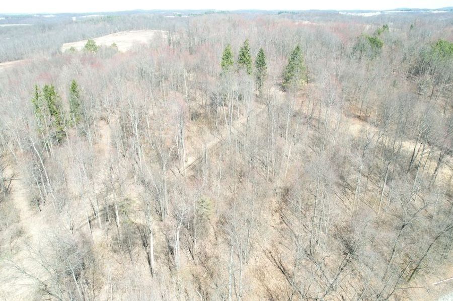 dji_fly_20250327_140036_101_1743098754258_photo