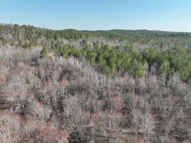 DJI_0946