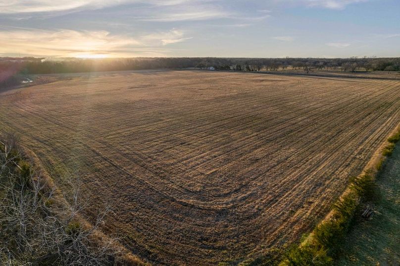 Collin County- 10 acres (Anna) (12 of 15)