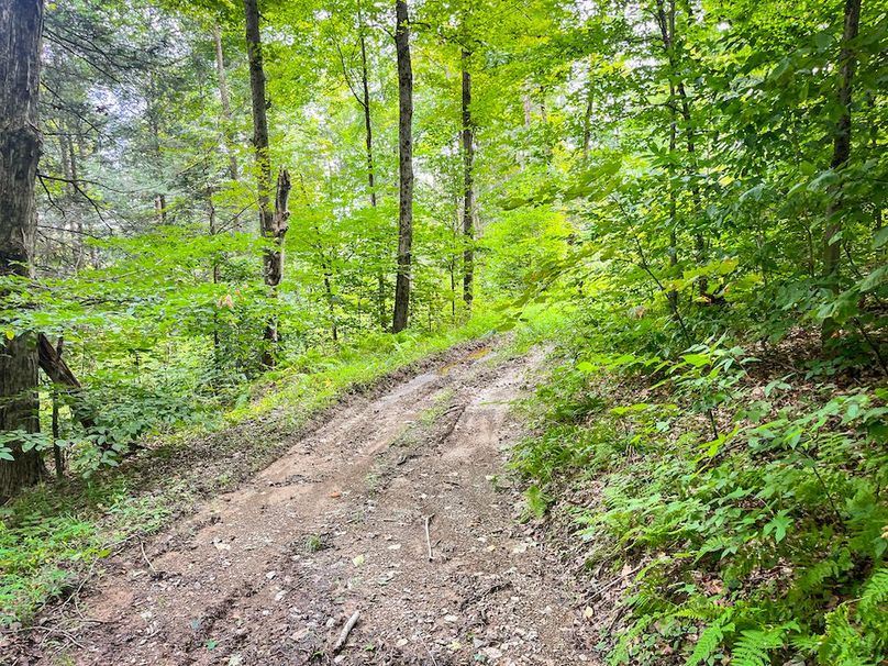 Chemung_60.55_Baumunk_Photos_22