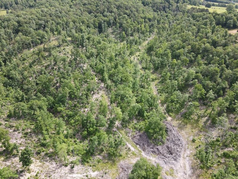 DJI_0441