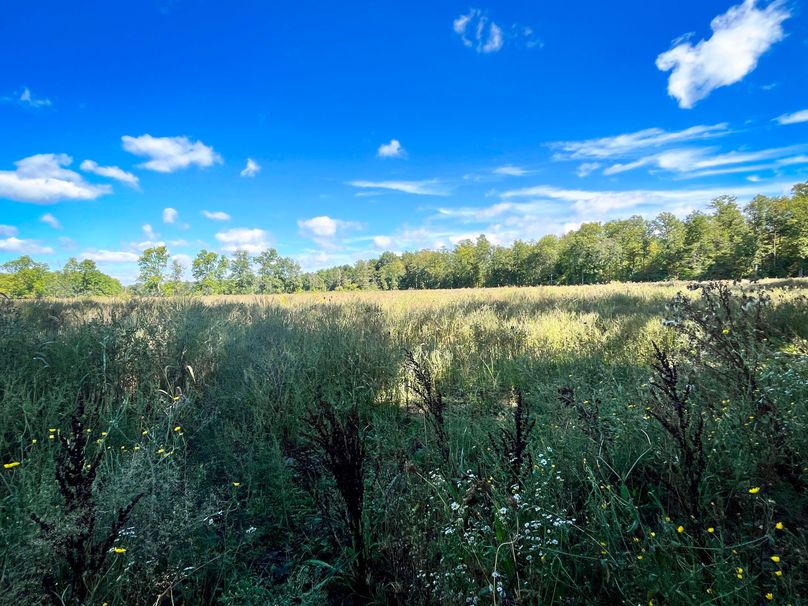 Tompkins_55.05_Hildreth_Photos_1