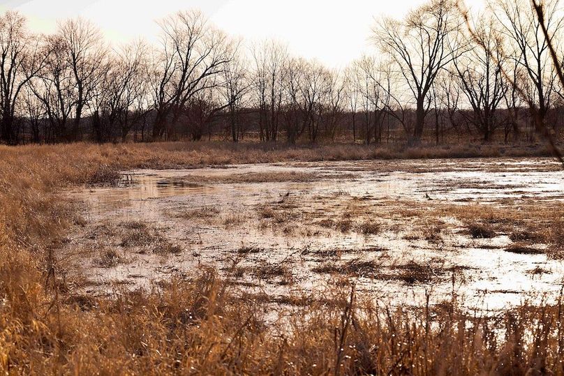 12 Platte MO 225 Tract 1